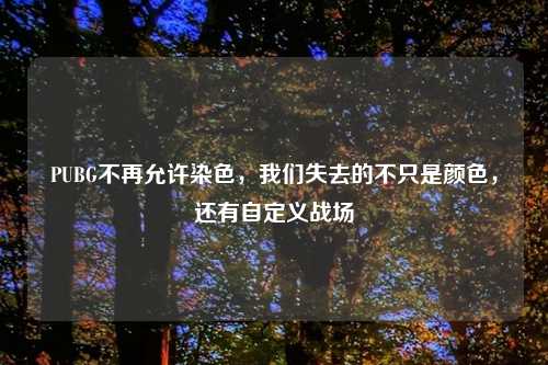 PUBG不再允许染色，我们失去的不只是颜色，还有自定义战场