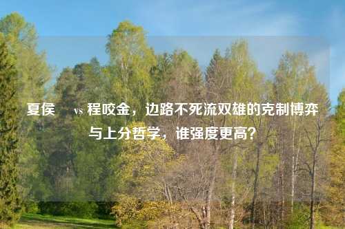 夏侯惇 vs 程咬金,边路不死流双雄的克制博弈与上分哲学,谁强度更高?