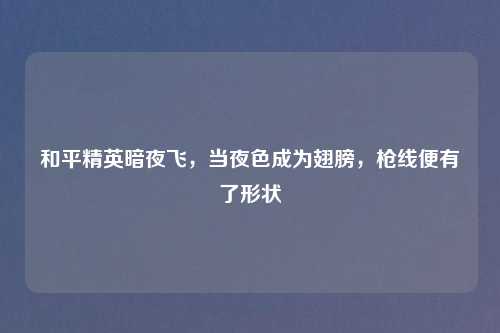 和平精英暗夜飞，当夜色成为翅膀，枪线便有了形状