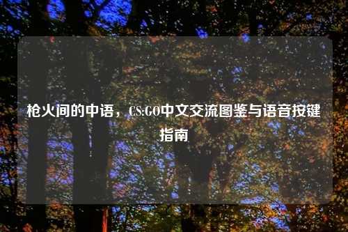 枪火间的中语,CS:GO中文交流图鉴与语音按键指南