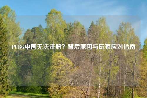 PUBG中国无法注册？背后原因与玩家应对指南