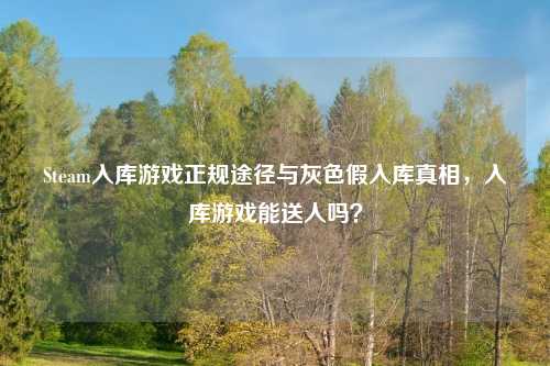 Steam入库游戏正规途径与灰色假入库真相，入库游戏能送人吗？