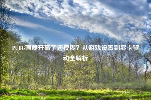 PUBG画质开高了还模糊？从游戏设置到显卡驱动全解析