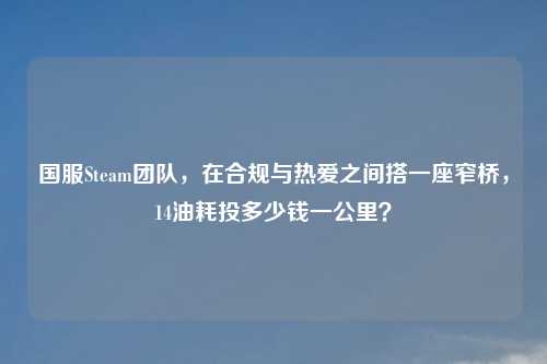 国服Steam团队，在合规与热爱之间搭一座窄桥，14油耗投多少钱一公里？