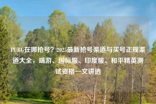 PUBG在哪抢号？2025最新抢号渠道与买号正规渠道大全，端游、国际服、印度服、和平精英测试资格一文讲透