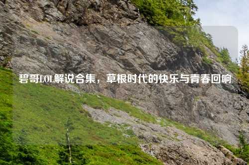 碧哥LOL解说合集，草根时代的快乐与青春回响