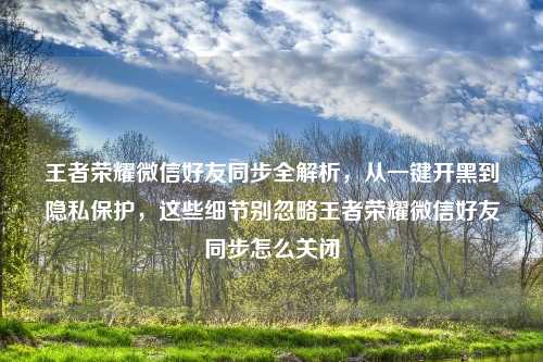 王者荣耀微信好友同步全解析，从一键开黑到隐私保护，这些细节别忽略王者荣耀微信好友同步怎么关闭