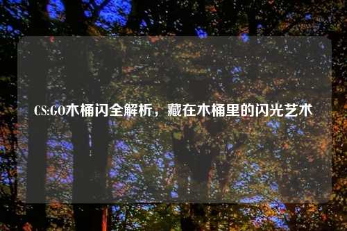 CS:GO木桶闪全解析，藏在木桶里的闪光艺术