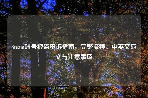 Steam账号被盗申诉指南，完整流程、中英文范文与注意事项