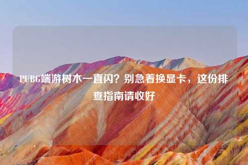 PUBG端游树木一直闪？别急着换显卡，这份排查指南请收好