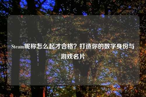 Steam昵称怎么起才合格？打造你的数字身份与游戏名片