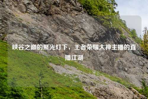峡谷之巅的聚光灯下，王者荣耀大神主播的直播江湖