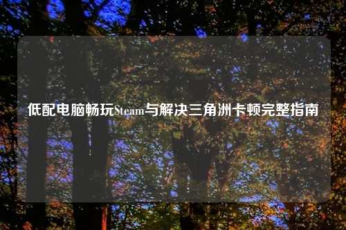 低配电脑畅玩Steam与解决三角洲卡顿完整指南