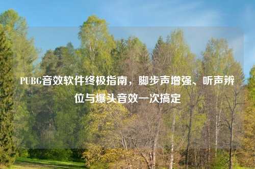 PUBG音效软件终极指南，脚步声增强、听声辨位与爆头音效一次搞定