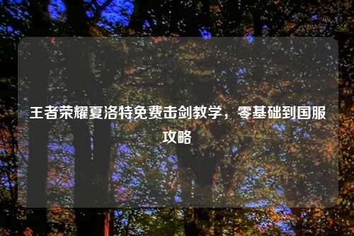 王者荣耀夏洛特免费击剑教学，零基础到国服攻略
