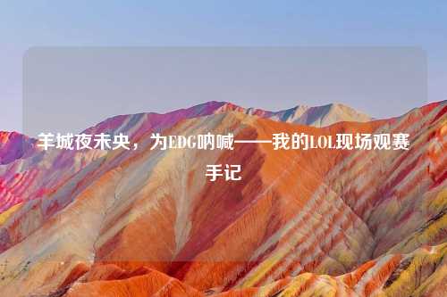 羊城夜未央，为EDG呐喊——我的LOL现场观赛手记