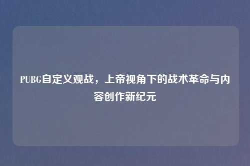 PUBG自定义观战，上帝视角下的战术革命与内容创作新纪元