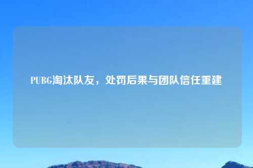 PUBG淘汰队友,处罚后果与团队信任重建