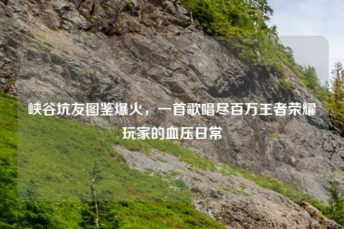 峡谷坑友图鉴爆火，一首歌唱尽百万王者荣耀玩家的血压日常