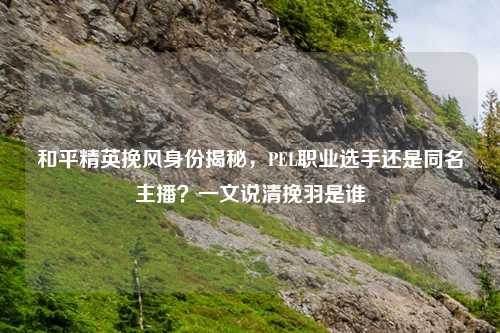 和平精英挽风身份揭秘，PEL职业选手还是同名主播？一文说清挽羽是谁