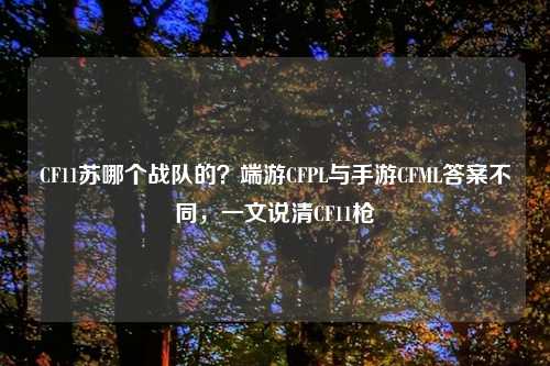 CF11苏哪个战队的？端游CFPL与手游CFML答案不同，一文说清CF11枪