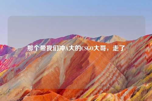 那个带我们冲A大的CSGO大哥，走了