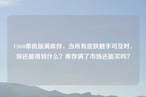 CSGO单机版满库存，当所有皮肤触手可及时，你还能得到什么？库存满了市场还能买吗？