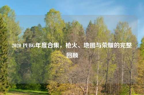 2020 PUBG年度合集，枪火、地图与荣耀的完整回顾