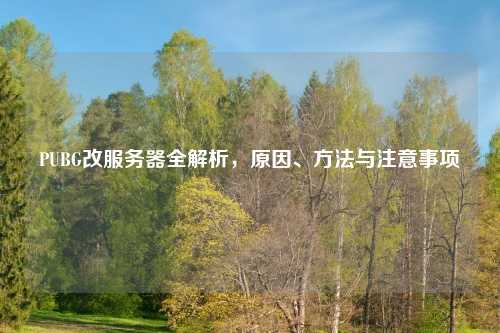 PUBG改服务器全解析，原因、     与注意事项