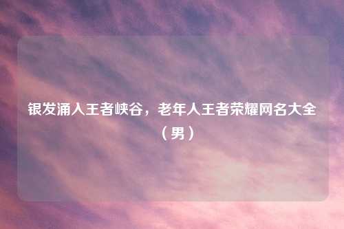 银发涌入王者峡谷，老年人王者荣耀网名大全（男）