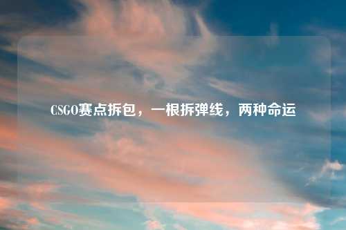 CSGO赛点拆包，一根拆弹线，两种命运