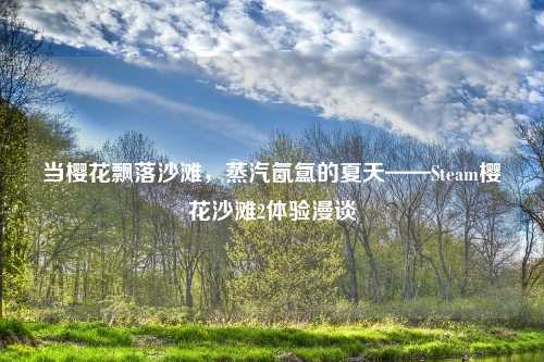 当樱花飘落沙滩，蒸汽氤氲的夏天——Steam樱花沙滩2体验漫谈