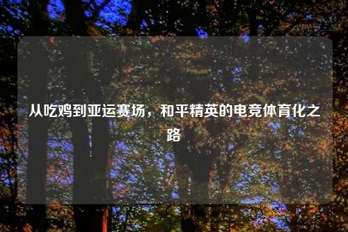 从吃鸡到亚运赛场，和平精英的电竞体育化之路