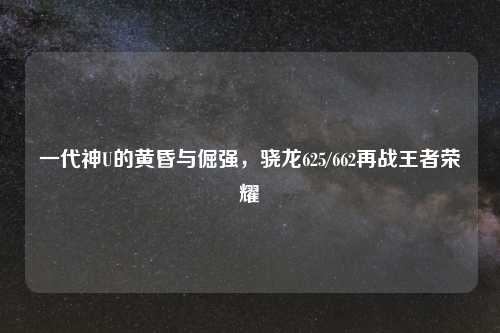 一代神U的黄昏与倔强，骁龙625/662再战王者荣耀
