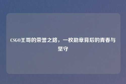 CSGO王哥的荣誉之路，一枚勋章背后的青春与坚守