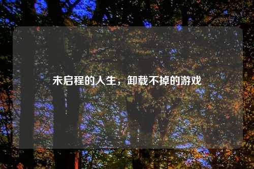 未启程的人生，卸载不掉的游戏