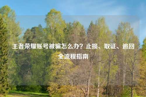 王者荣耀账号被骗怎么办？止损、取证、追回全流程指南