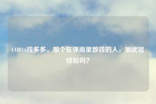 COD16钱多多，那个在弹雨里数钱的人，加武器经验吗？