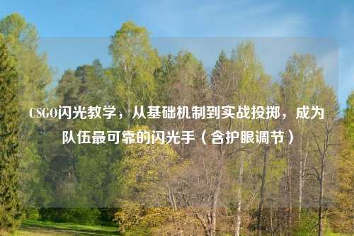 CSGO闪光教学，从基础机制到实战投掷，成为队伍最可靠的闪光手（含护眼调节）