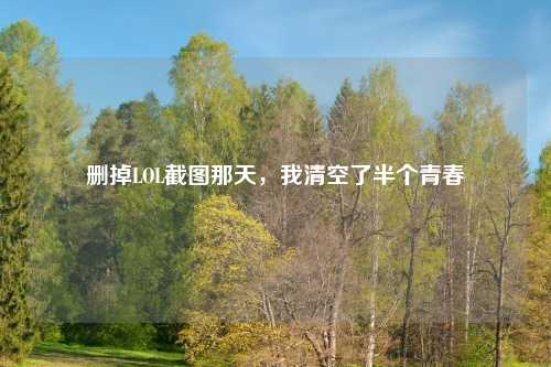 删掉LOL截图那天，我清空了半个青春