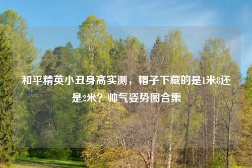 和平精英小丑身高实测，帽子下藏的是1米8还是2米？帅气姿势图合集