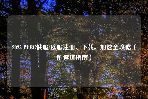 2025 PUBG俄服/欧服注册、下载、加速全攻略（附避坑指南）